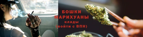 прущие грибы Нестеровская