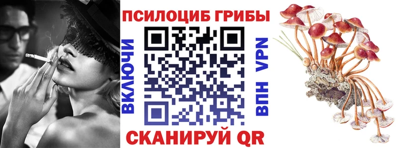 Псилоцибиновые грибы GOLDEN TEACHER  Таганрог 